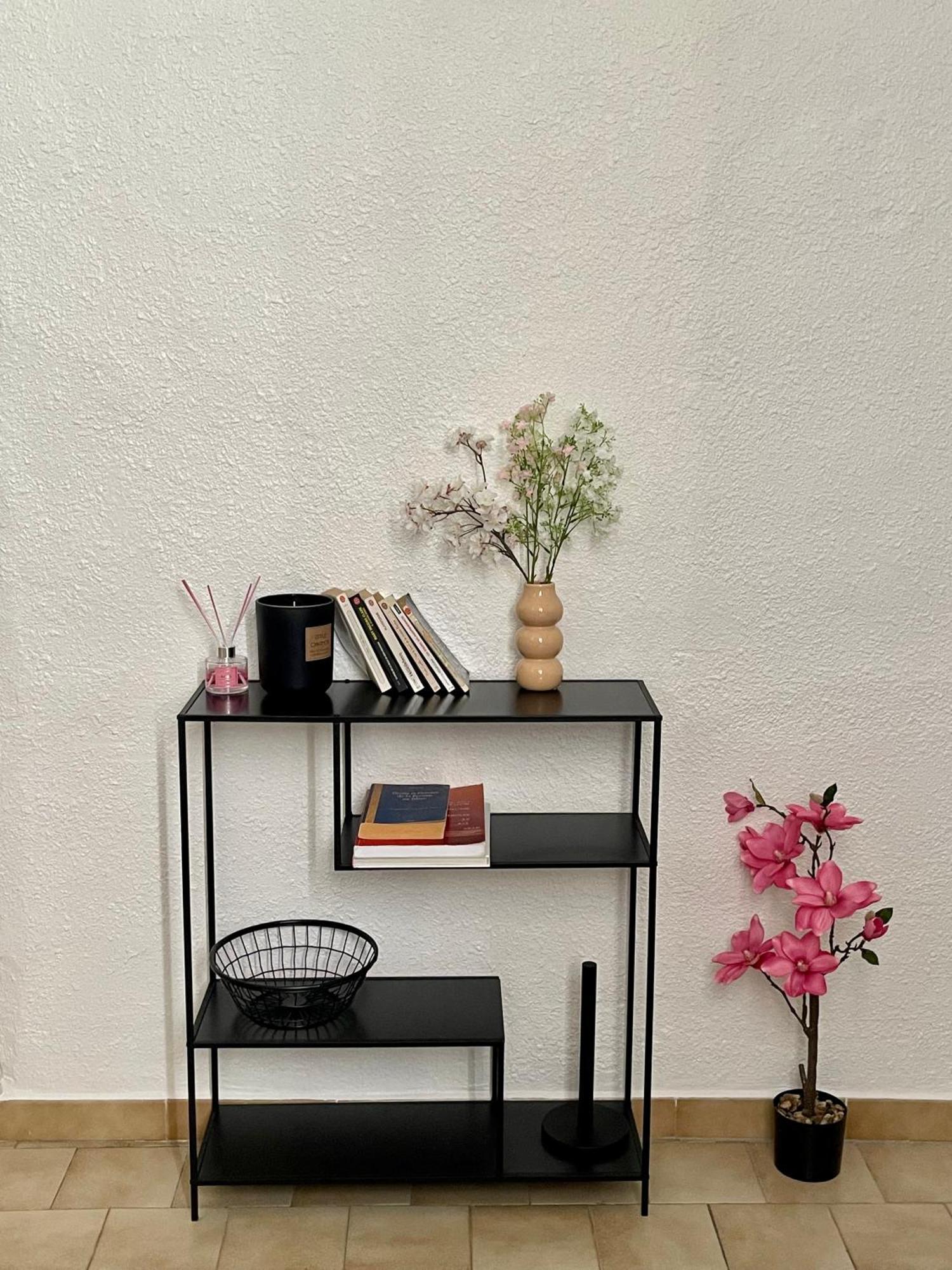 Appartement Chaleureux Ecuson Montpellier